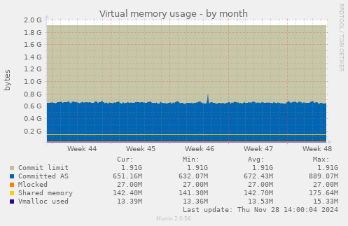 Virtual memory usage